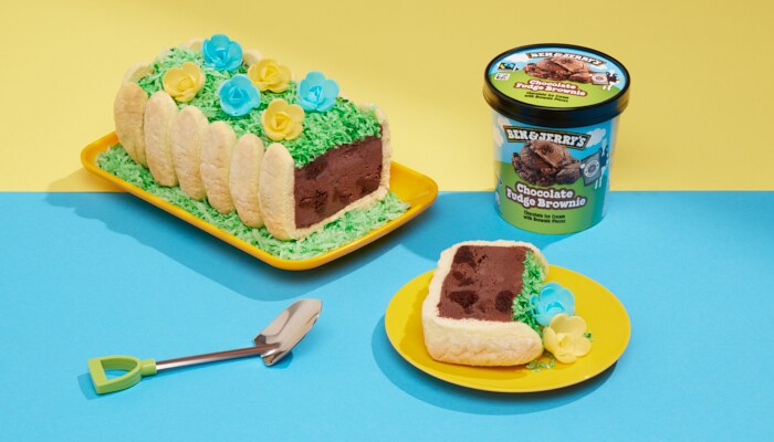 Spring Garden Ice Cream Cake