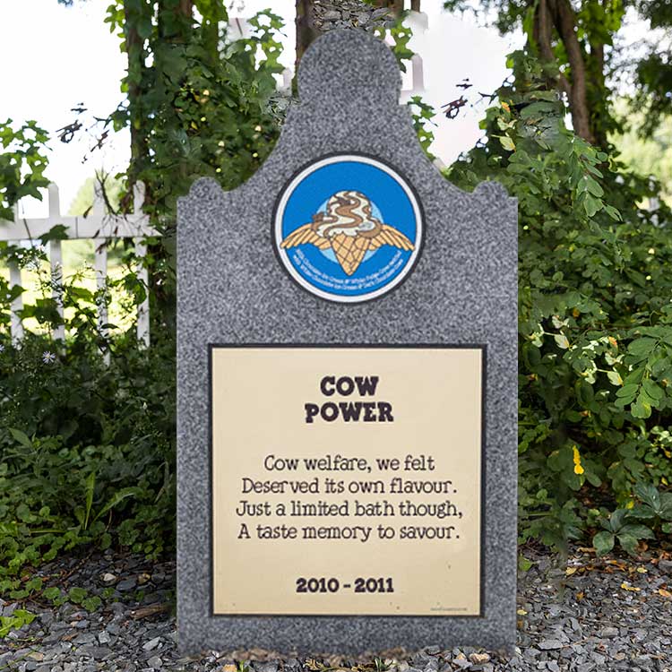 image-from-the-document-manager